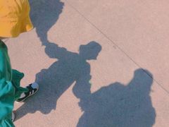 -昆山城市生态森林公园