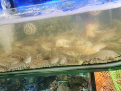 -友强·23年特色海鲜大排档(厦门店)