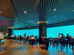 -海棠湾洲际-涛·海底餐厅·美人鱼·自助餐·海底隧道