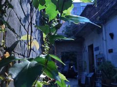 -小洲村