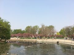 -长白岛森林公园