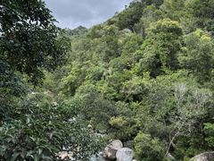 -海南热带雨林国家公园吊罗山景区