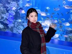 -厦门海底世界