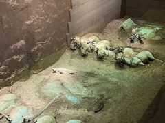 -秦始皇帝陵博物院-丽山园