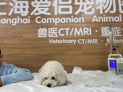 -爱侣宠医·鹦鹉专科·小型哺乳类·异宠专科(灵石路店)