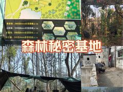 -东湖小天池真人CS彩弹野战基地