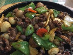 -五谷芳乳鸽王（大梅沙总店C区）(网红打卡店)