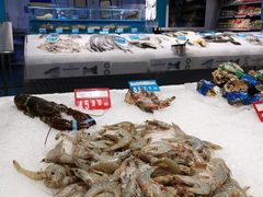 -麦德龙(郑东店)