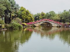 -南宁市动物园