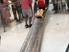 -巴黎春天(浦建店)
