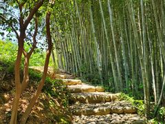 -杨家堂村