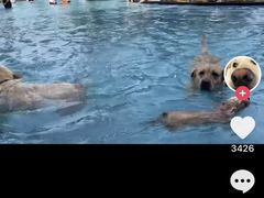 -宁波九龙湖开元度假村