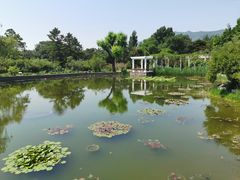 -国家植物园南园