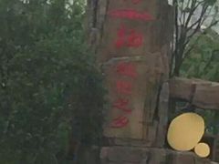 -塘栖枇杷特色园区