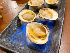 -鰓呼吸 石垣島 美崎町店