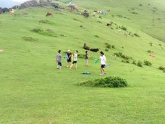 -大姆山草场