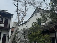 -朱新年·苏式汤团·面点(北寺塔店)