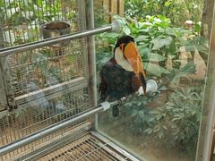 -南宫五洲植物乐园