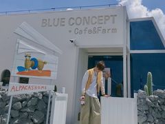-Blue Concept Cafe&Farm·關於藍