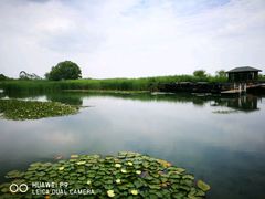 -太湖湖滨国家湿地公园-停车场
