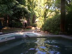 -厦门日月谷温泉渡假村