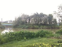 -白鹭湾湿地公园