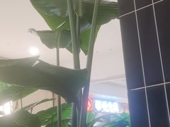 -Pennehut畔尼意面(合肥万象城店)