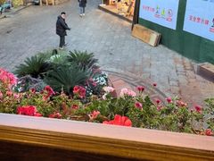 -木王宴语·野生鲜菌火锅(玉河店)