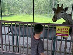 -秦皇岛野生动物园