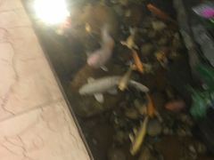 -亚洲国际大酒店