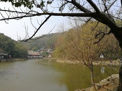 -团城山公园