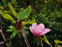 -水濂山水库景点停车场