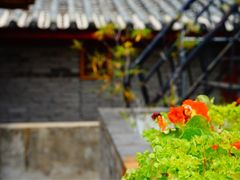 -浔岚云舍mist静谧观景美宿(丽江古城店)