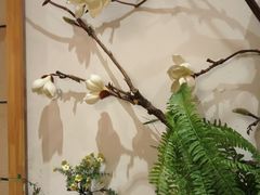 -九田家黑牛烤肉料理(华侨城店)