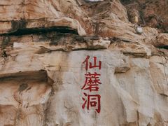 -仙蘑洞