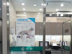 -万博宠物医院·手术·诊疗(未央凤城五路店)