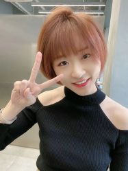 点击看大图 -斑斓色彩沙龙