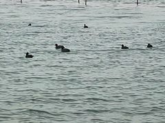 -郑东新区龙湖公共艺术中心
