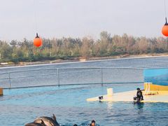 -秦皇岛乐岛海洋王国