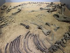 -呼伦贝尔民族博物馆