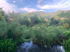 -腾冲洞山温泉村