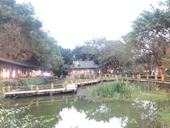 -古真记钵钵鸡(老公园店)