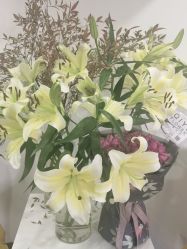-联合丽格·张菡丽格医疗美容
