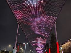 -老头儿油爆虾(胜利河美食街店)