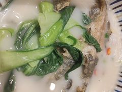 -鲜越鲜鱼粉(财富购物中心店)