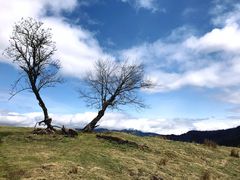-硗碛藏寨·神木垒景区