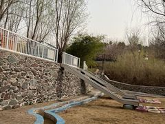 -西部长青自然儿童乐园