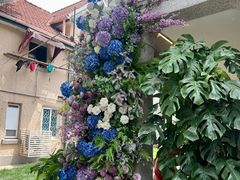 -Money Shops(愚园路店)