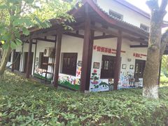 -中国扬子鳄村