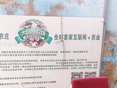 -大自然农场蔬菜草莓采摘园